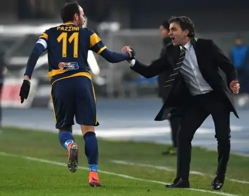 Verona, fiducia a Pecchia