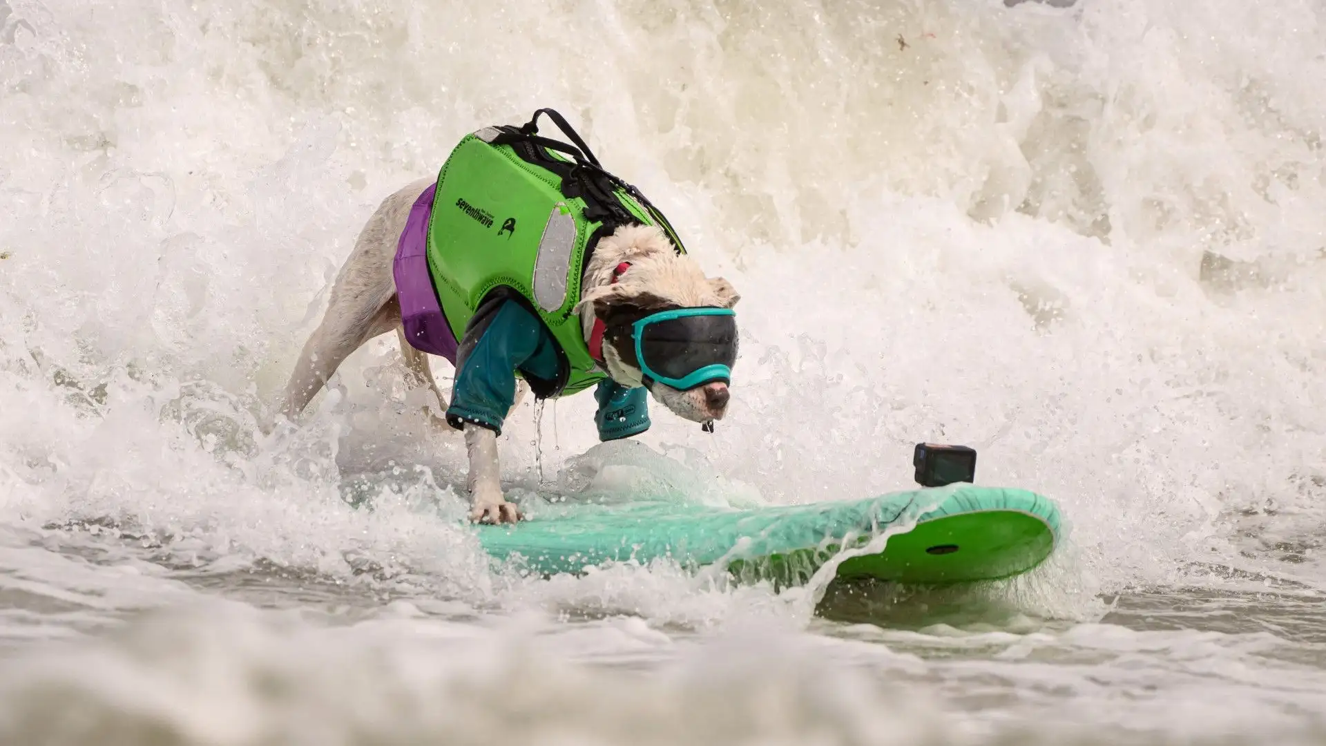 Una posizione da surfer professionista
