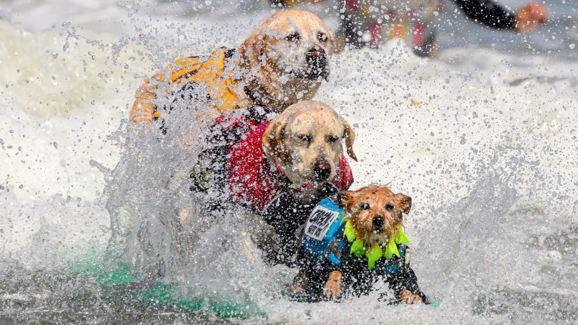 Amicizia, sport e divertimento in una sola foto