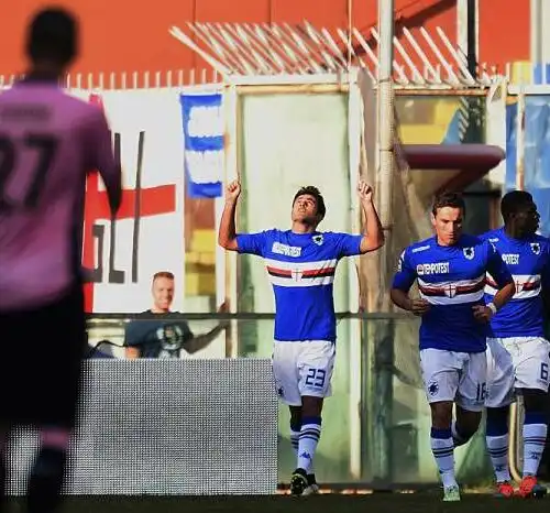Sampdoria-Palermo 1-1