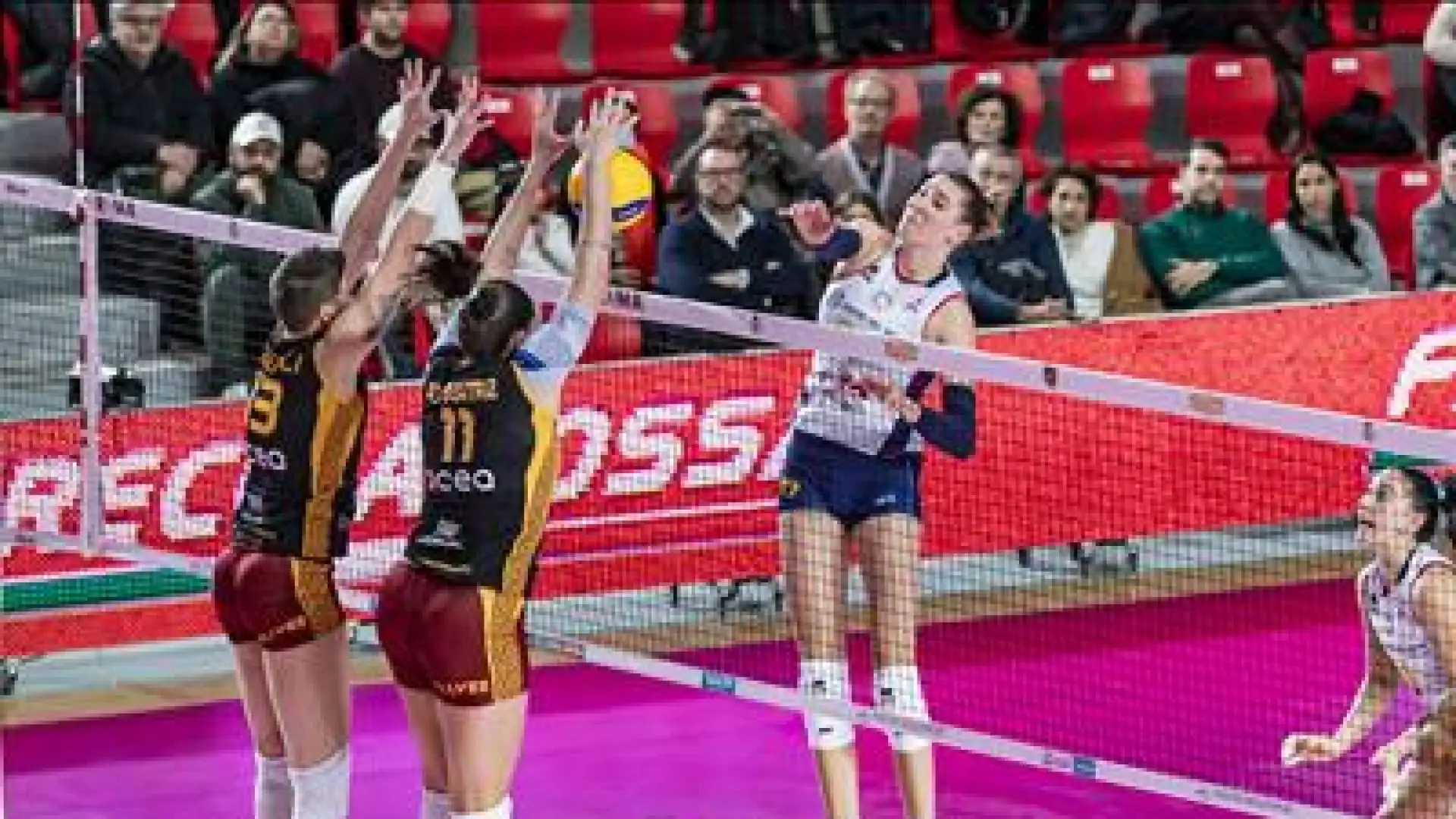 Il tecnico francese ha vinto il titolo mondiale con la Polonia maschile nel 2014.