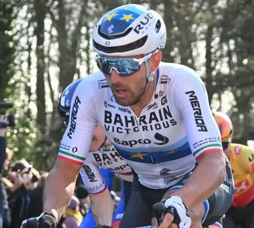 Sonny Colbrelli come Vincenzo Nibali, addio Milano-Sanremo