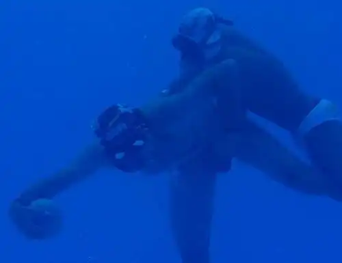 Un’immersione che fa bene a tutti