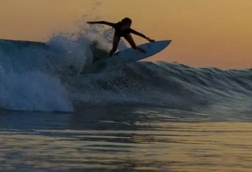 Giovane surfista sbranata da squalo