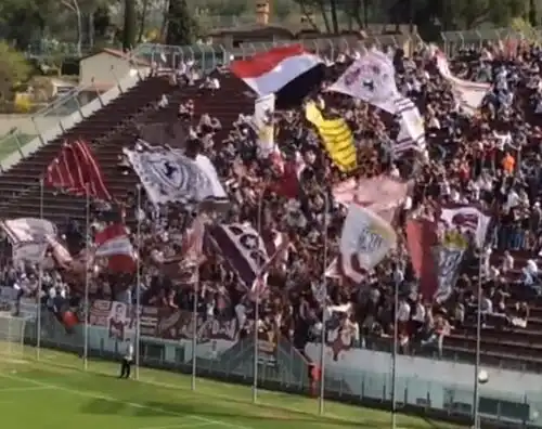 Ottimismo Arezzo, si lavora per il titolo sportivo