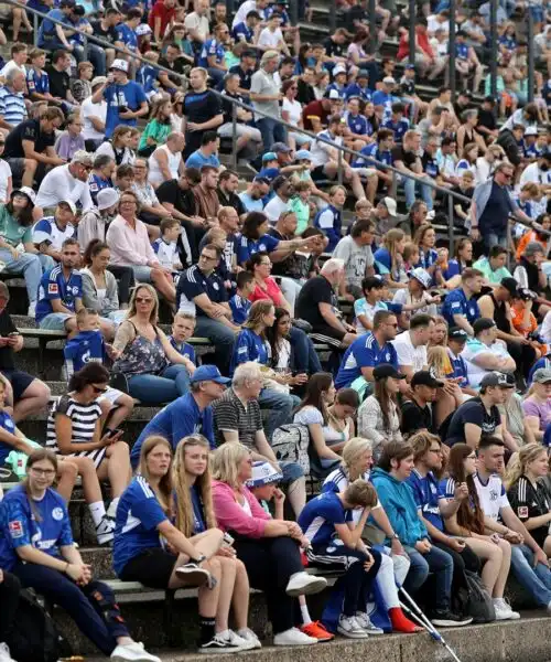 Tifosi dello Schalke 04 da Libro Cuore dopo la retrocessione: le foto