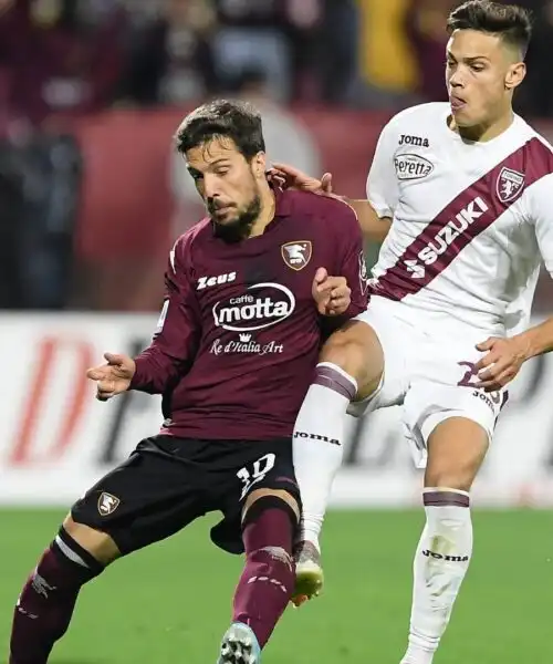 Torino e Salernitana pronte a scontrarsi sul mercato