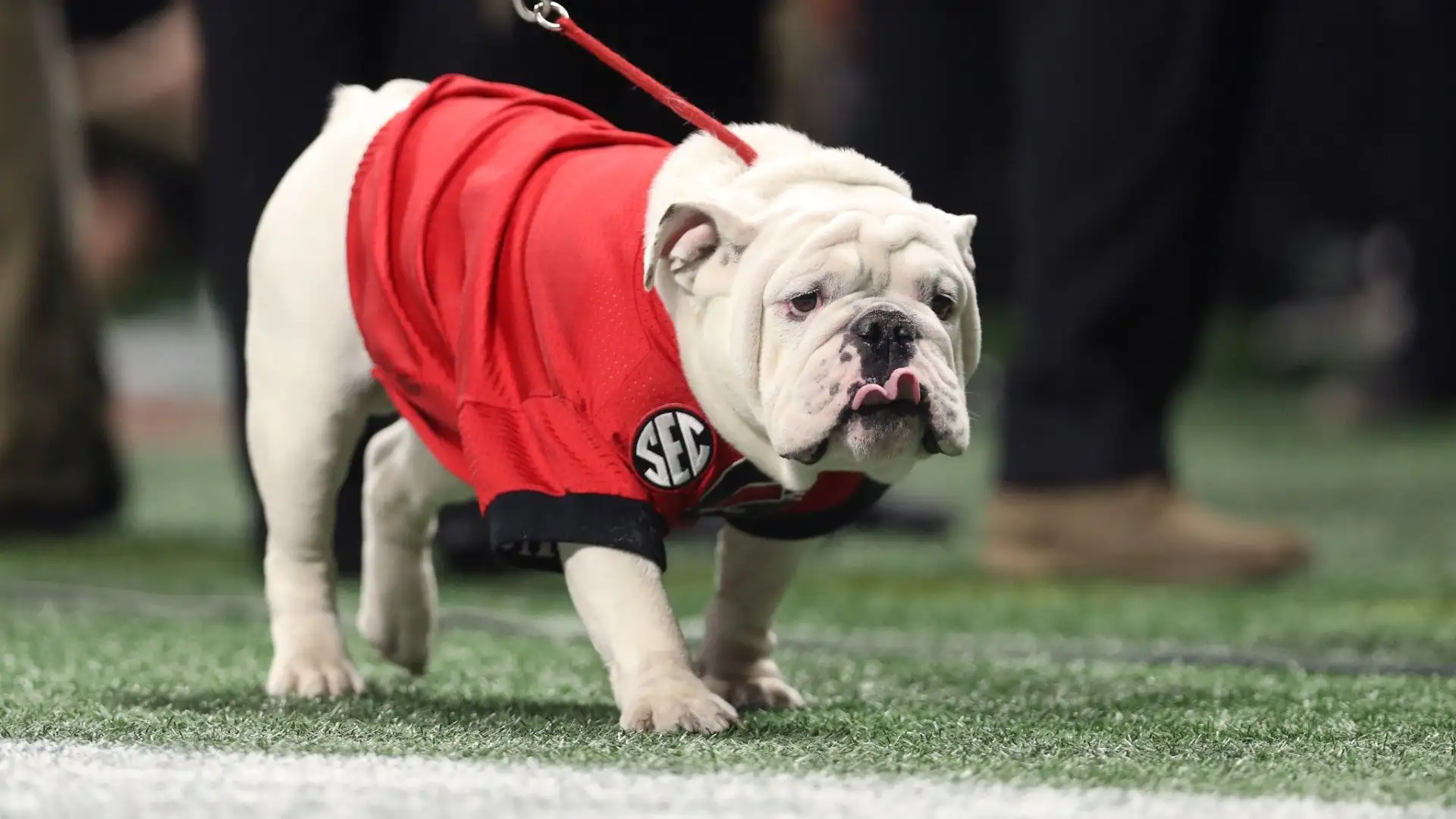 Uga I fece il suo debutto nel 1956
