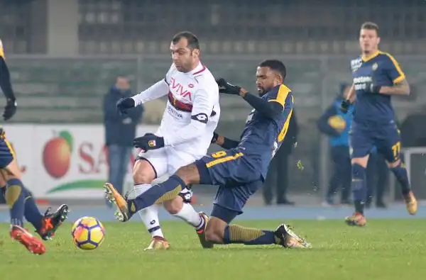 Colpaccio del Genoa di Ballardini. I grifoni hanno battuto di misura i gialloblù con una rete di Pandev nel recupero del primo tempo. A nulla sono valsi i generosi tentativi dei ragazzi di Pecchia.