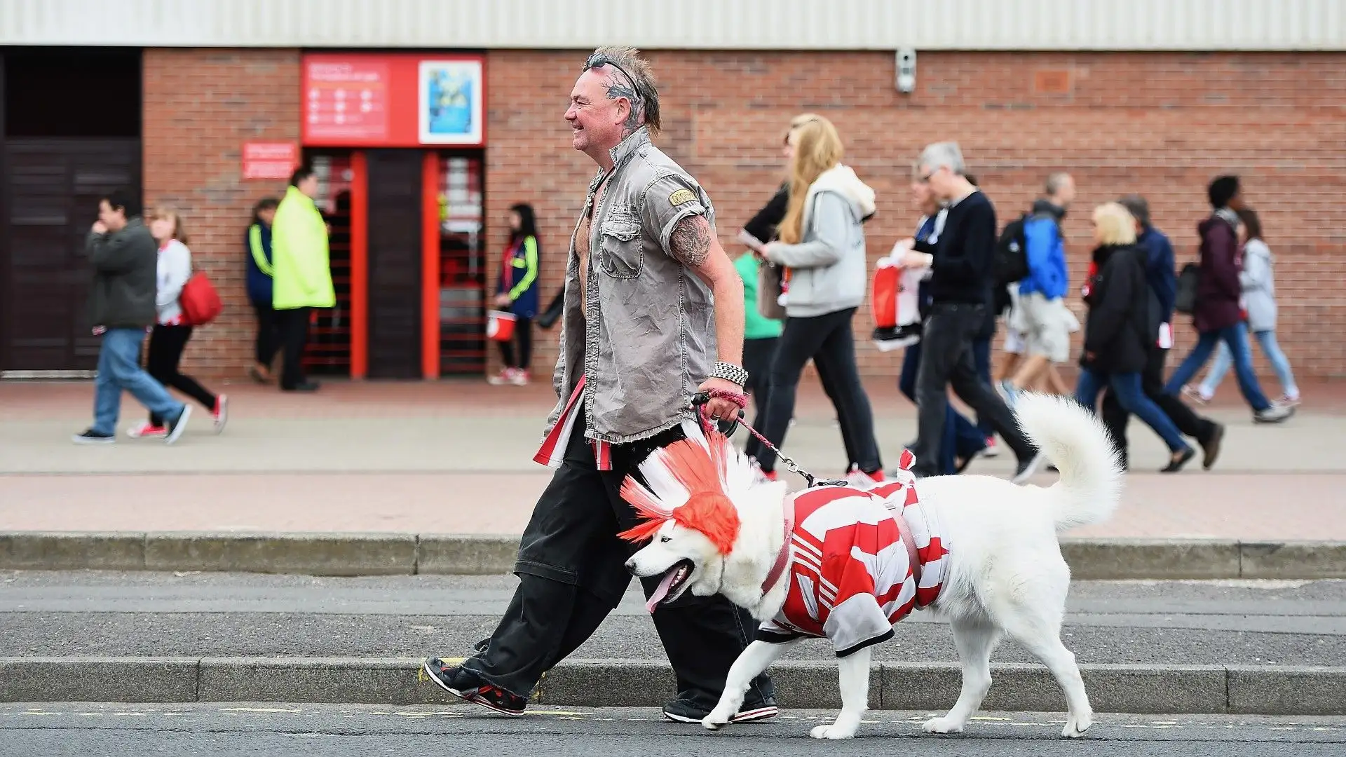 Maglia e parrucca: costume completo per questo bellissimo cane!