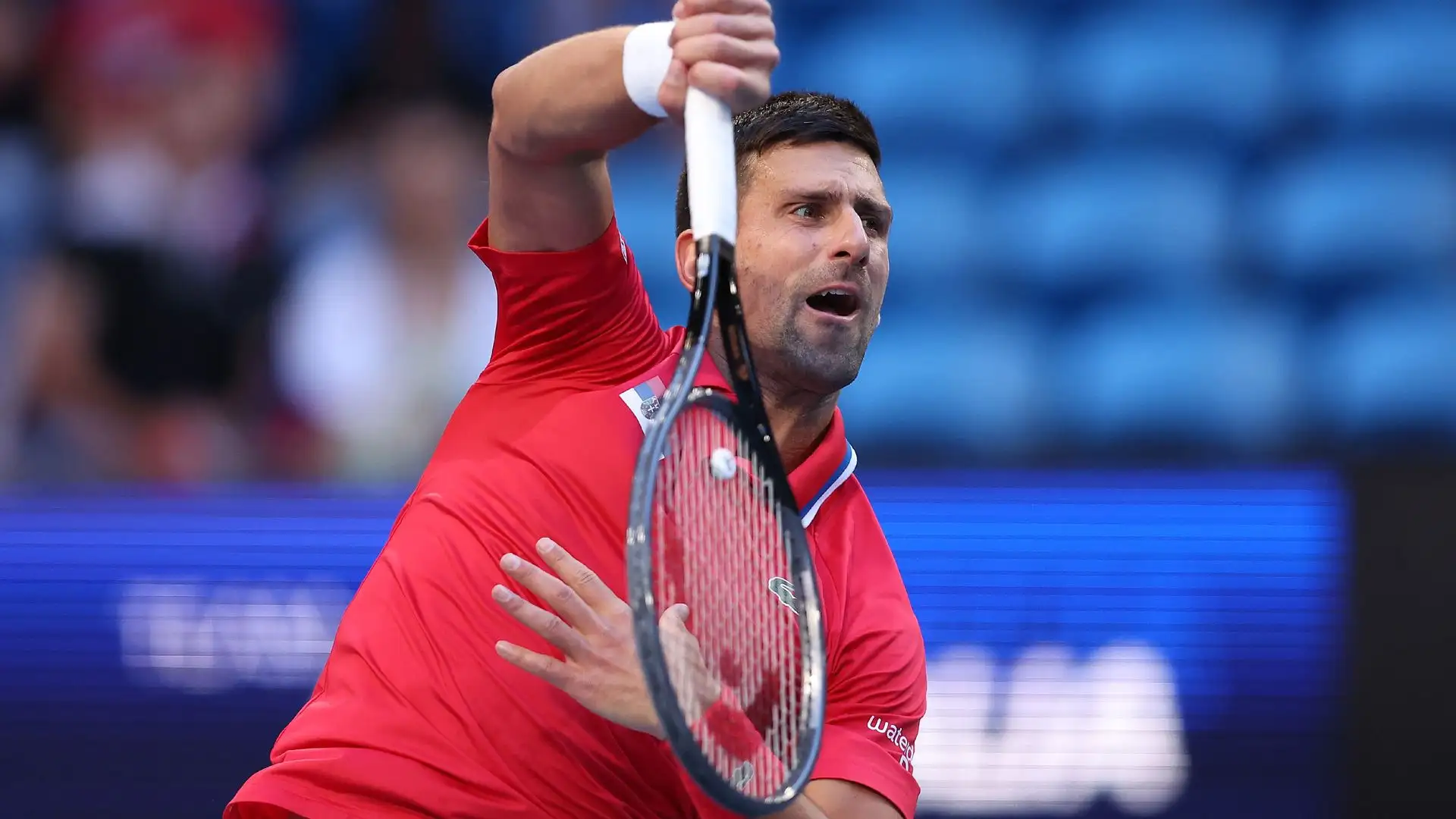 Da allora Djokovic ha vinto tutti i match disputati