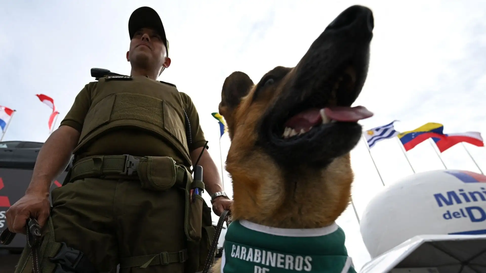 Con il loro addestramento specializzato, sono pronti a intervenire in situazioni di emergenza durante gli eventi sportivi