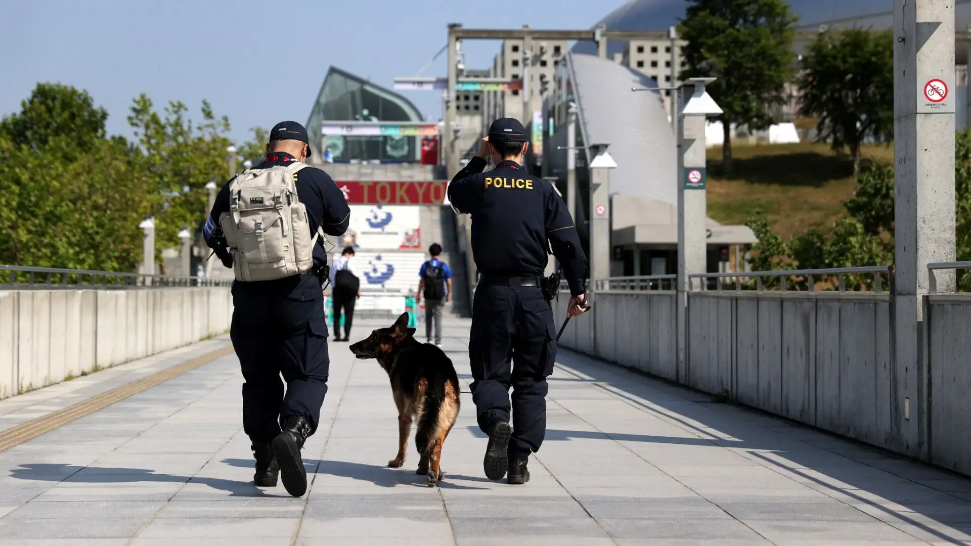 Per diventare poliziotti, i cani devono affrontare un lunghissimo addestramento