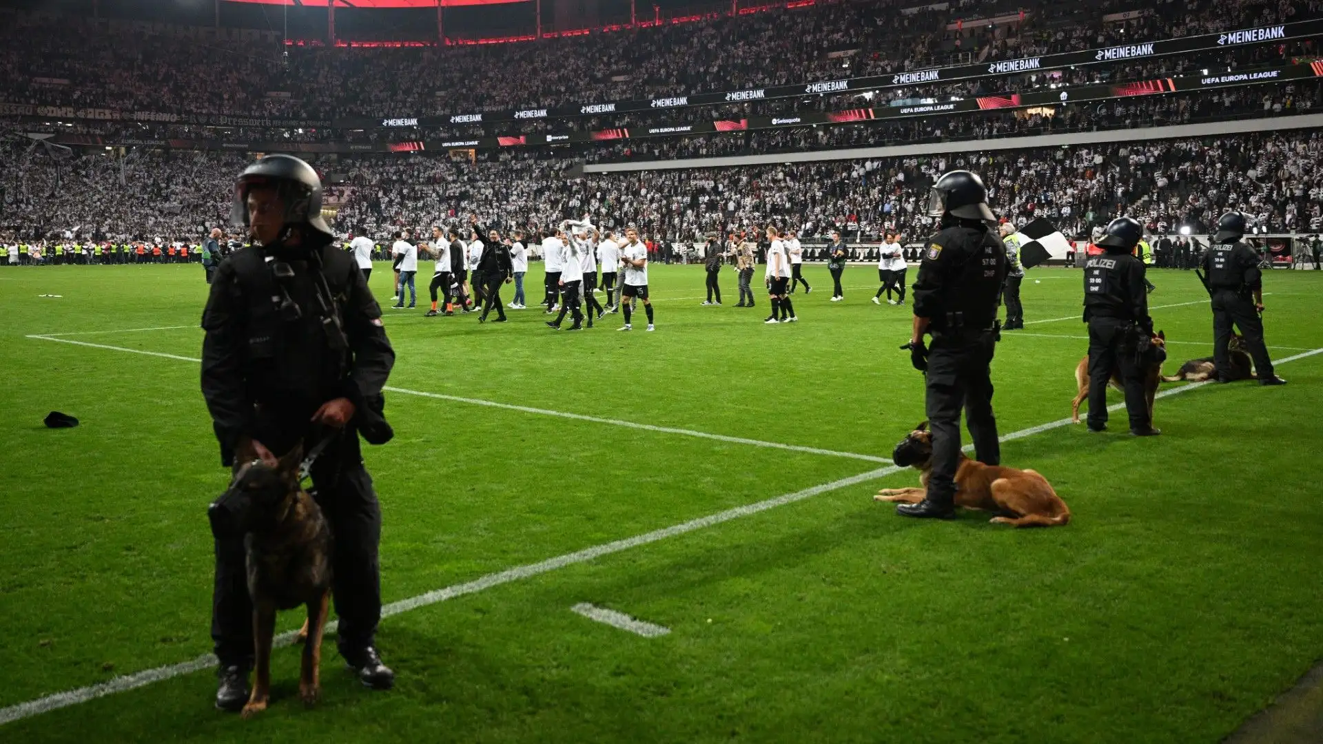 La vista, l'udito e l'olfatto sviluppati rendono i cani poliziotto risorse preziose

