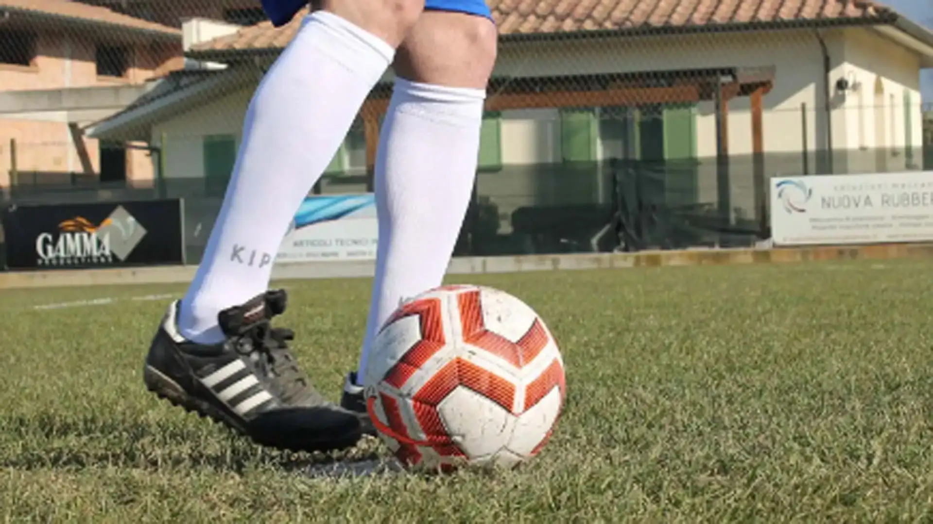Guardarlo negli occhi mentre si indietreggia è dimostrazione di sicurezza nei propri mezzi