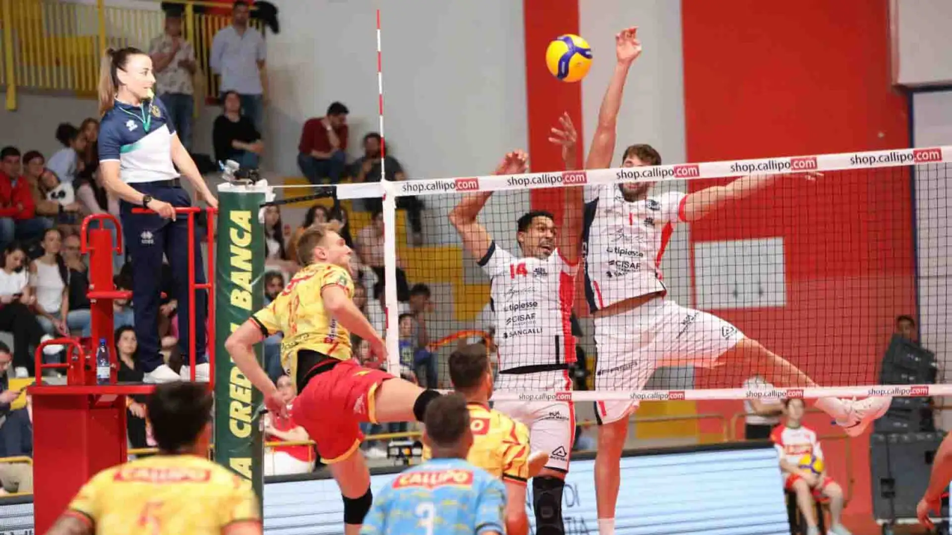 Lo scorso anno ha vinto per la quarta volta la Coppa Italia di A2, per la prima volta la Supercoppa italiana di A2 ed ottenuto l'immediata promozione in Superlega.