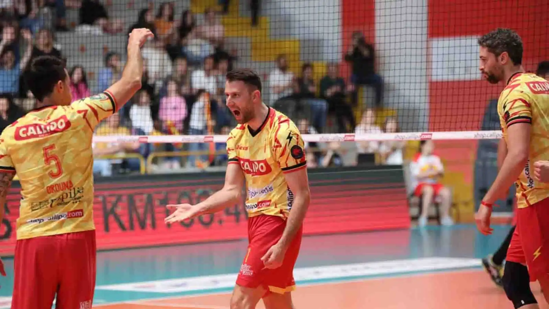 La Tonno Callipo Calabria Vibo Valentia è stata per anni la squadra simpatia del campionato di volley maschile.