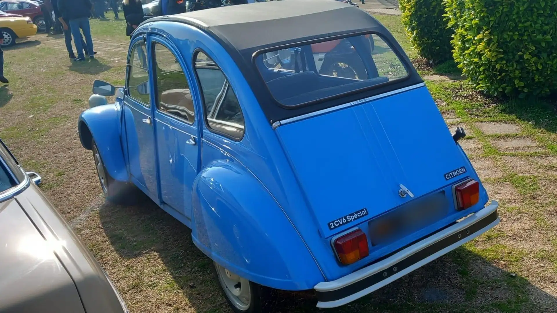 Un'idea vincente la sua