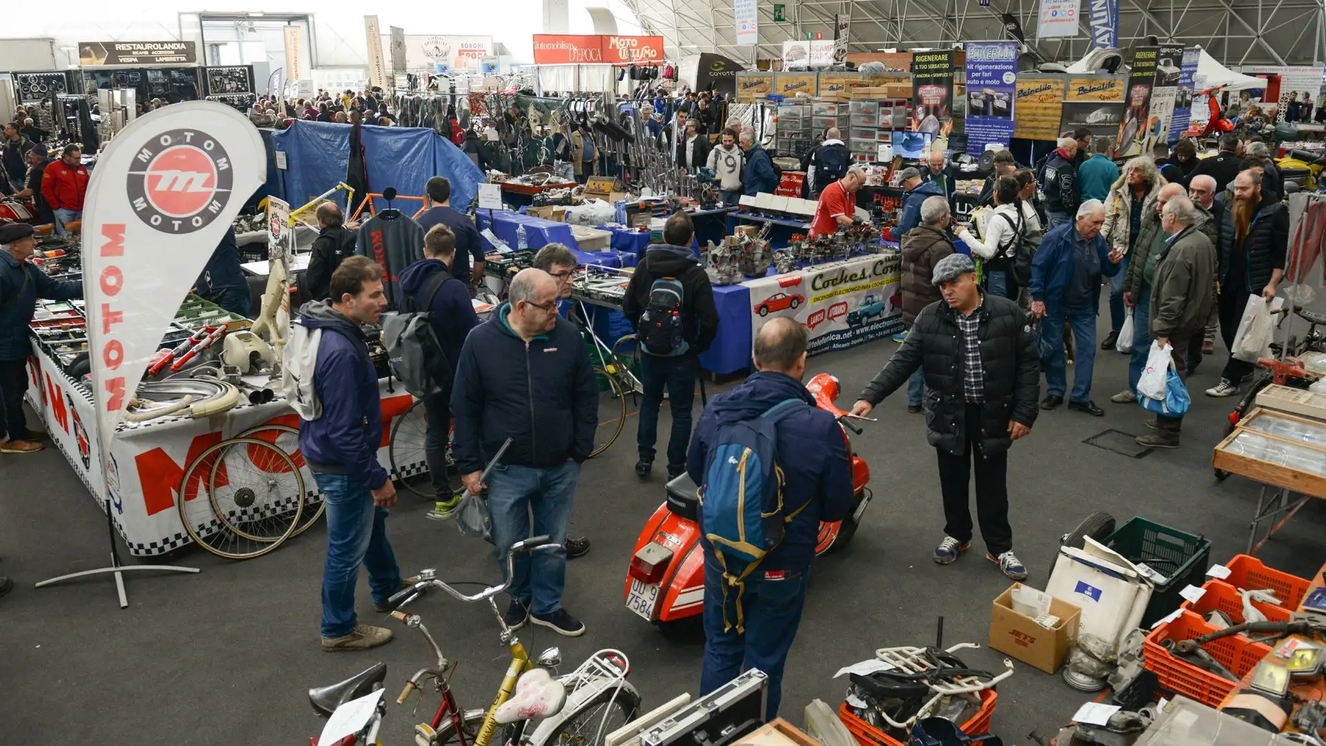 La manifestazione si sviluppa all'interno di tutta la superficie utilizzabile del quartiere fieristico