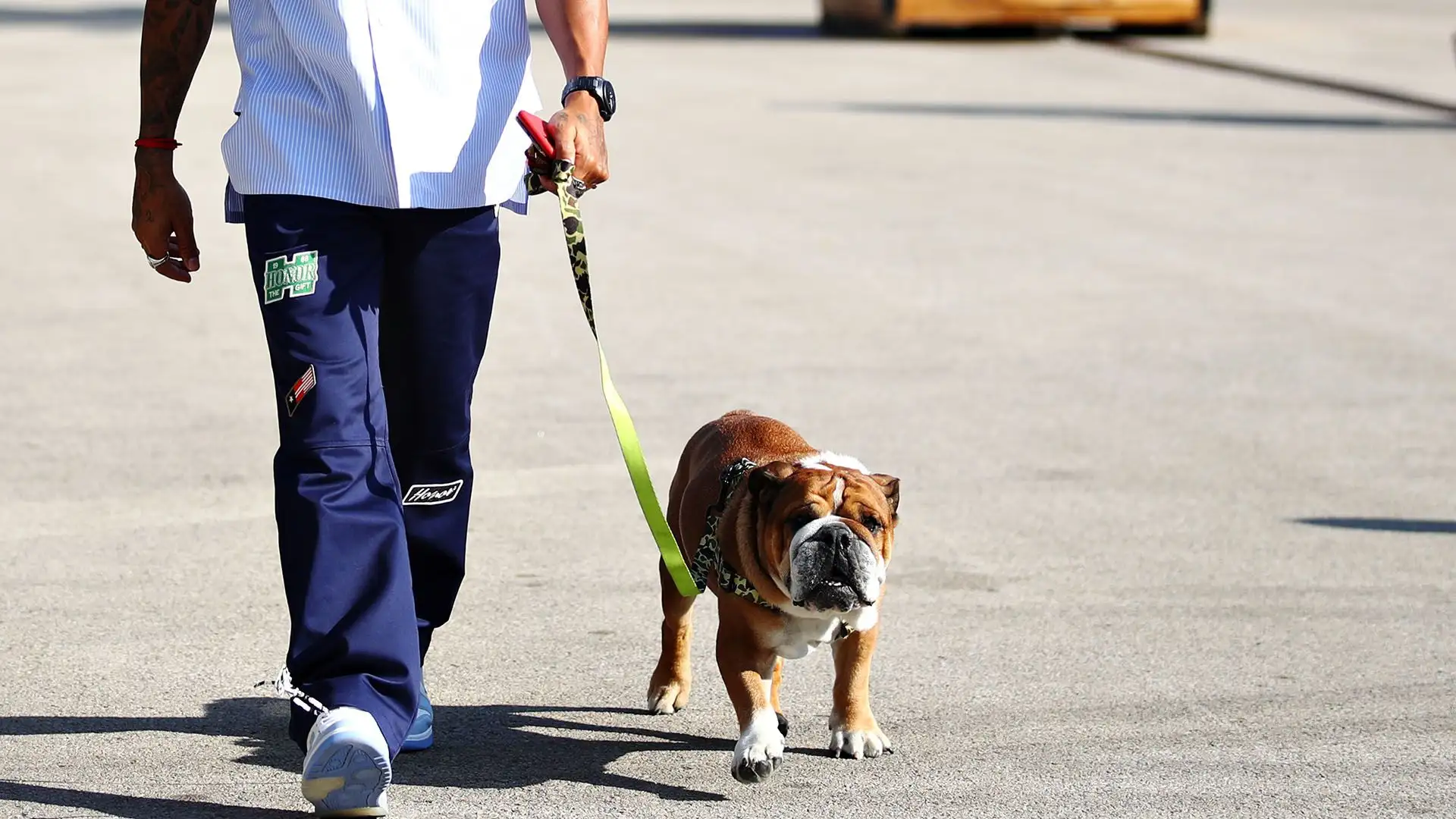 "È una delle esperienze più dolorose e sento un legame profondo con chiunque abbia vissuto la perdita di un amato animale domestico"
