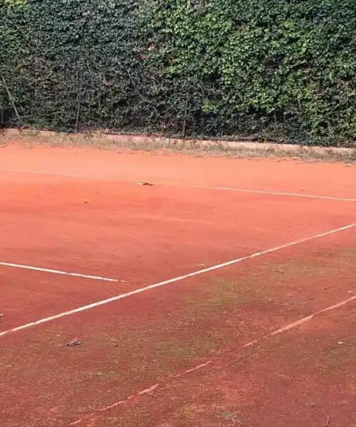 Da Jannik Sinner a Luciano Darderi, il tennis italiano torna grande