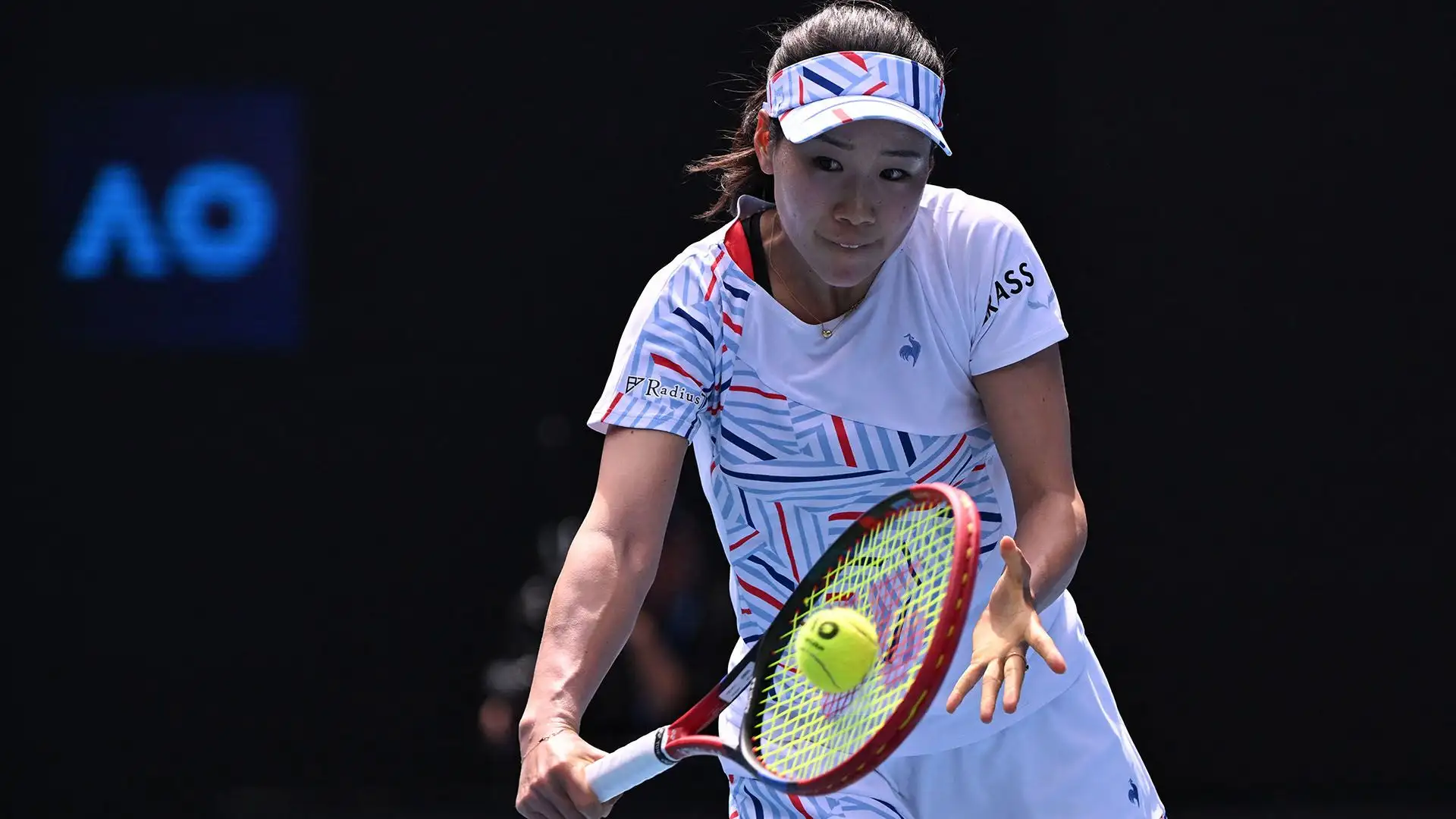 Nao Hibino: 126.769 dollari guadagnati a gennaio