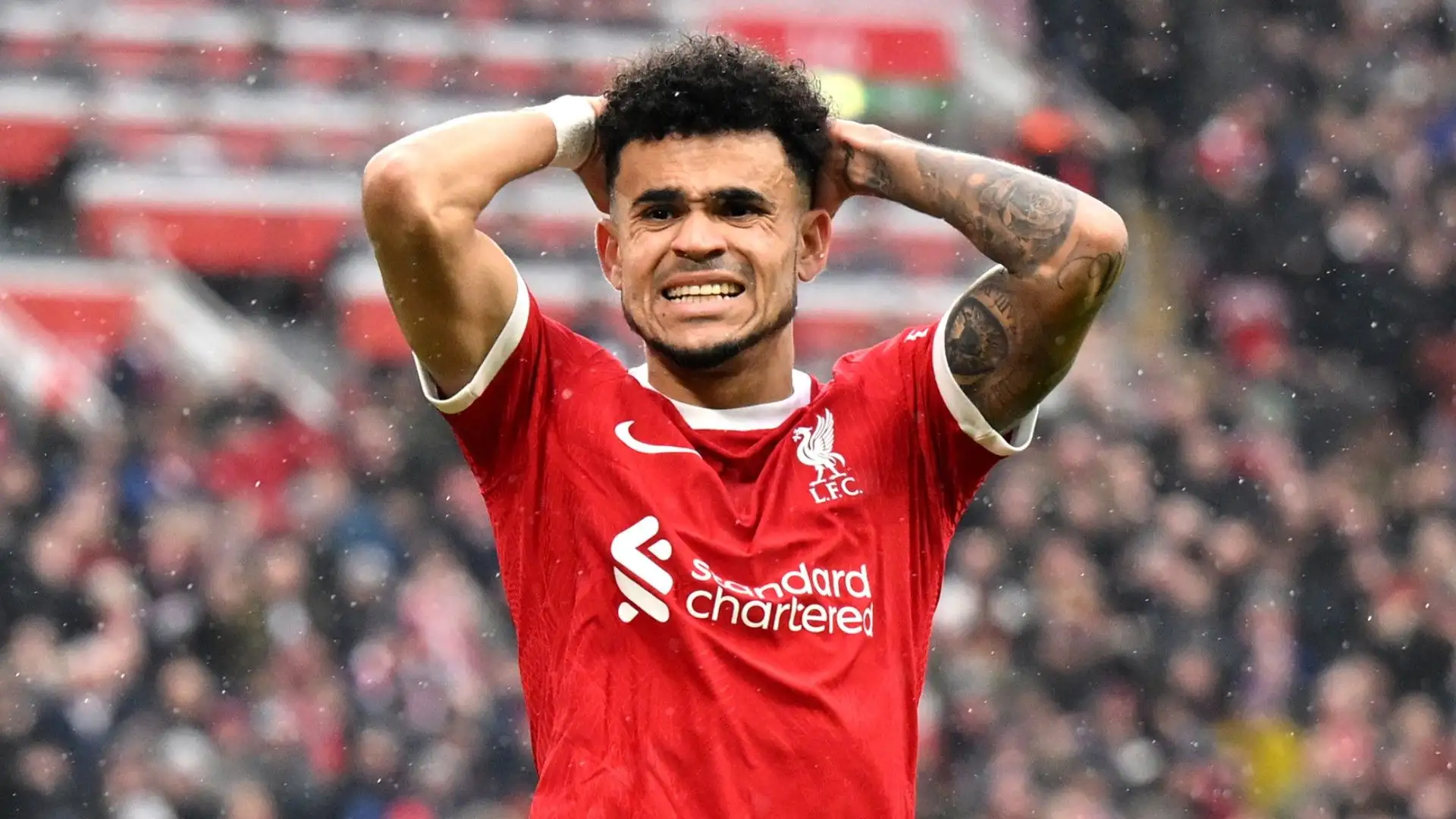 Il Liverpool l'ha acquistato per 47 milioni di euro
