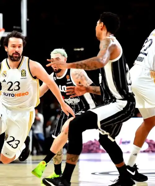 La Virtus Bologna cede al Real Madrid ma Luca Banchi è soddisfatto