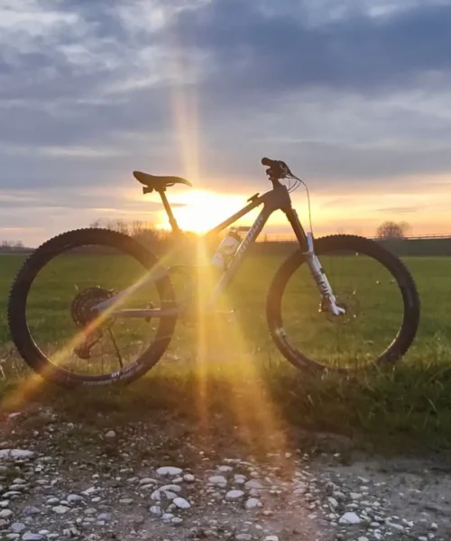 Quale bici acquistare in base alle proprie esigenze