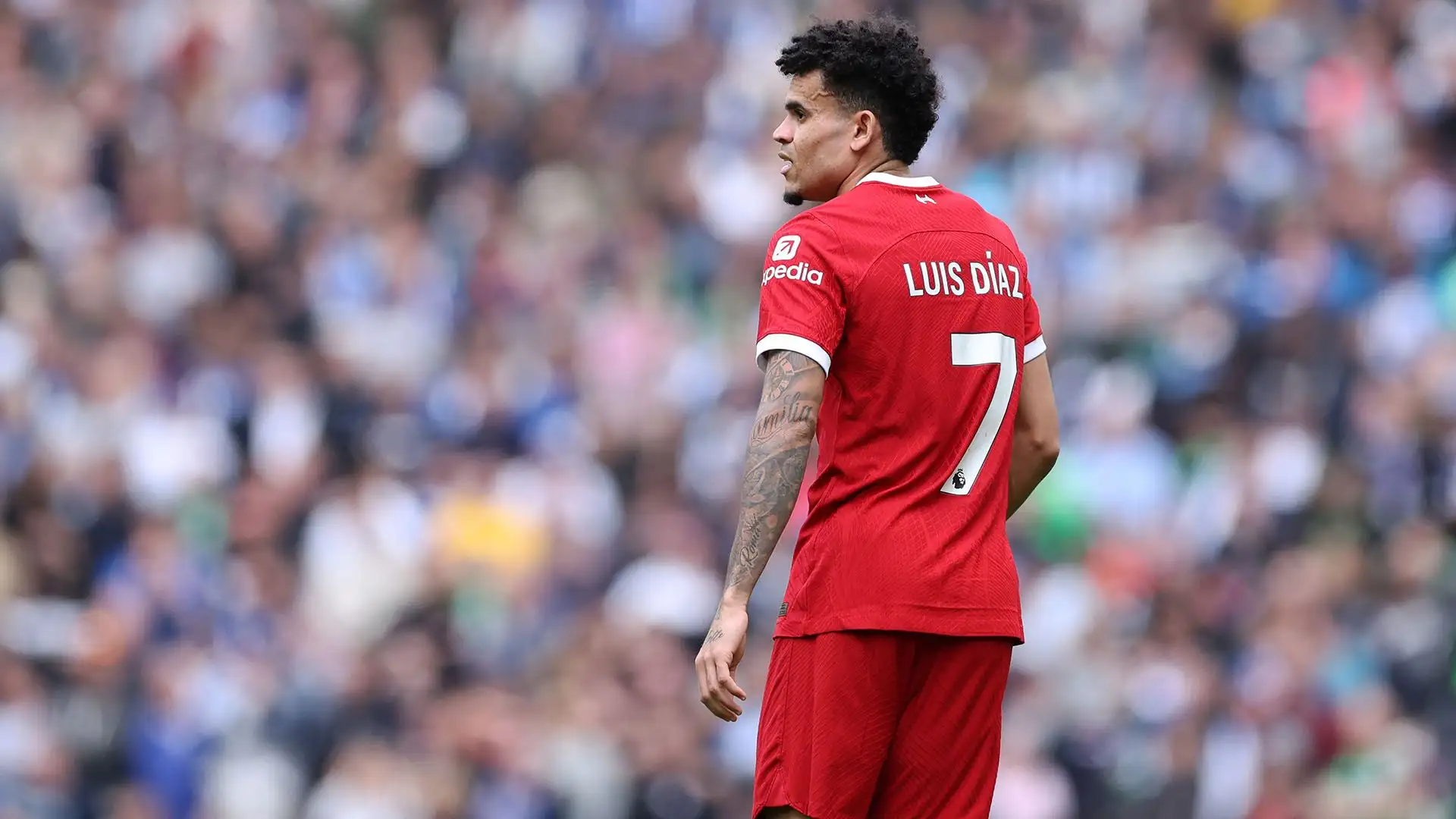 Il Liverpool ha comprato Luis Diaz nel 2022 per 50 milioni di euro
