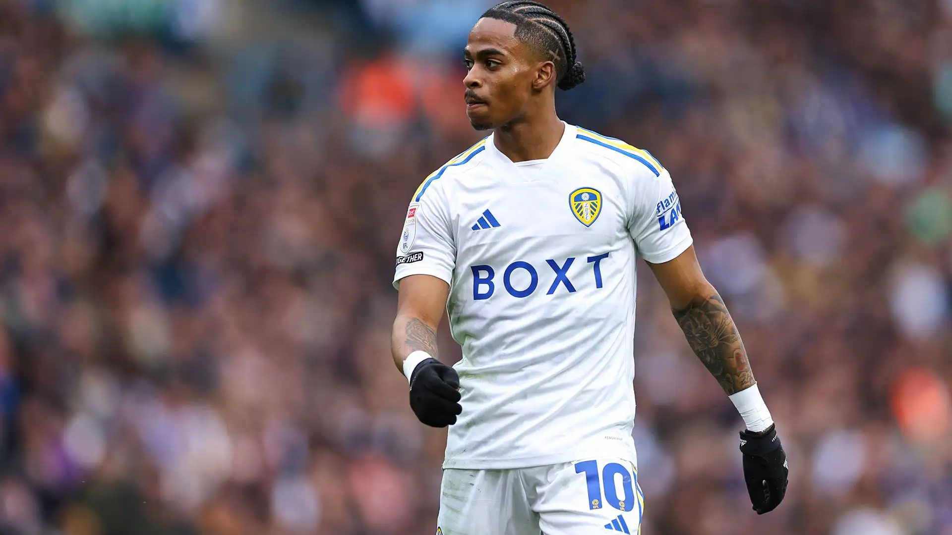 In questa stagione ha impressionato segnando 19 reti in 43 partite di Championship