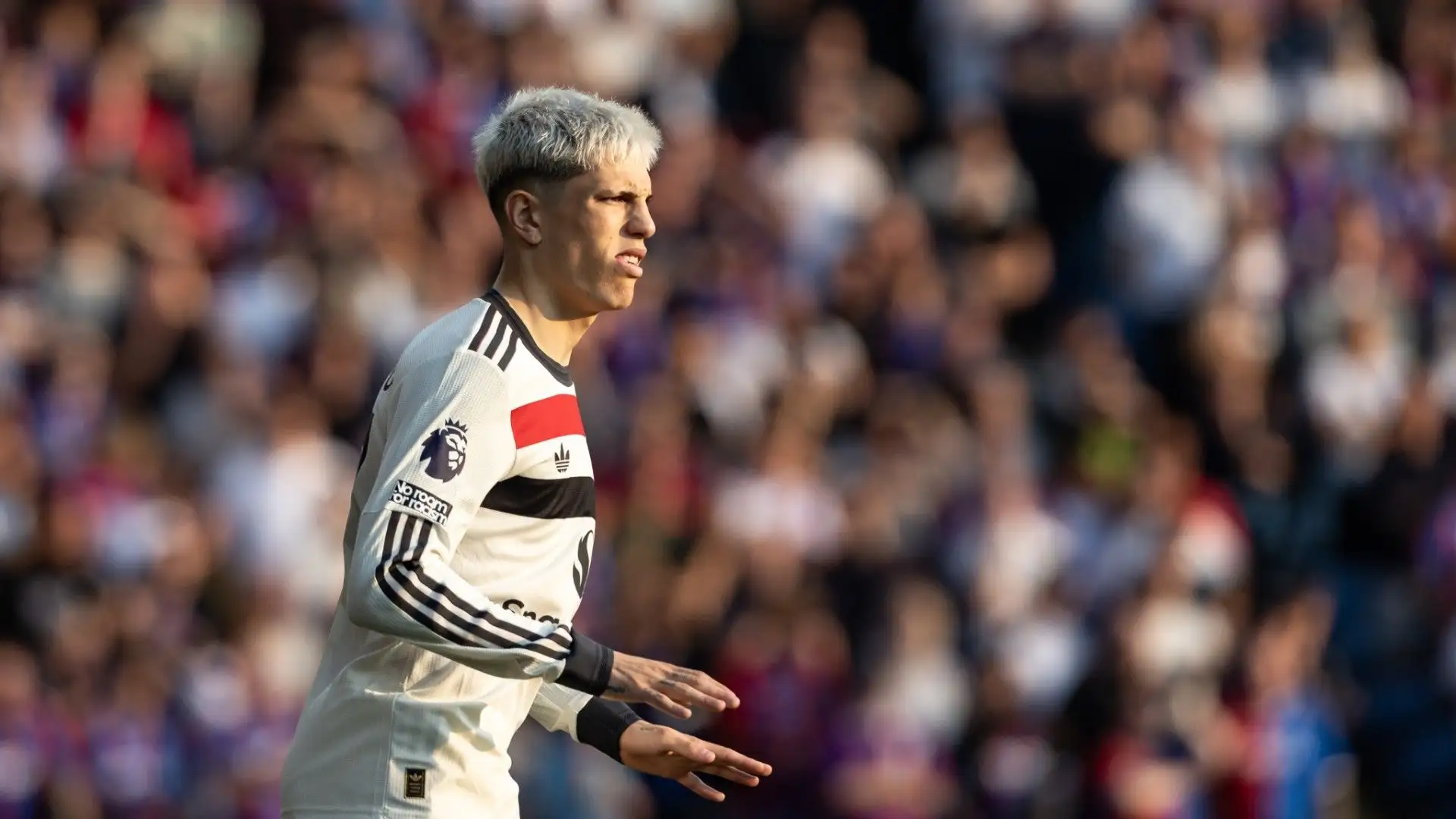 Alejandro Garnacho potrebbe vestire la maglia del club parigino
