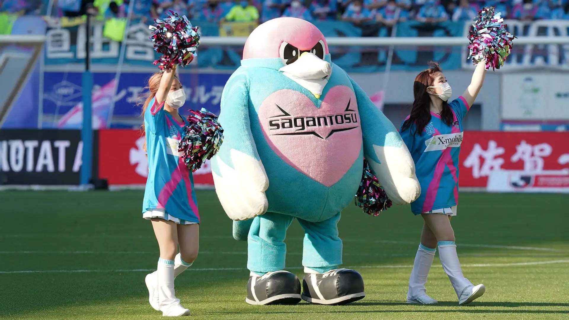 Wintosu è un vivace cardellino rosa e azzurro simbolo del Sagan Tosu: è amatissimo!
