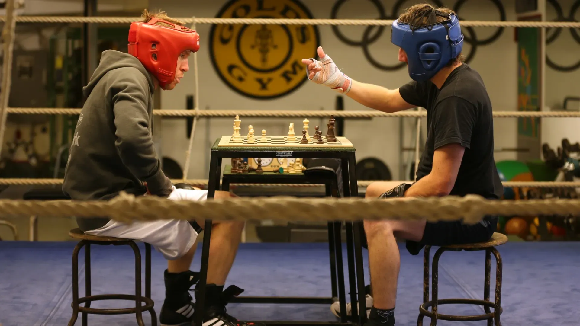 Oggi lo sport è ora disciplinato dalla World Chess Boxing Organisation (WCBO)
