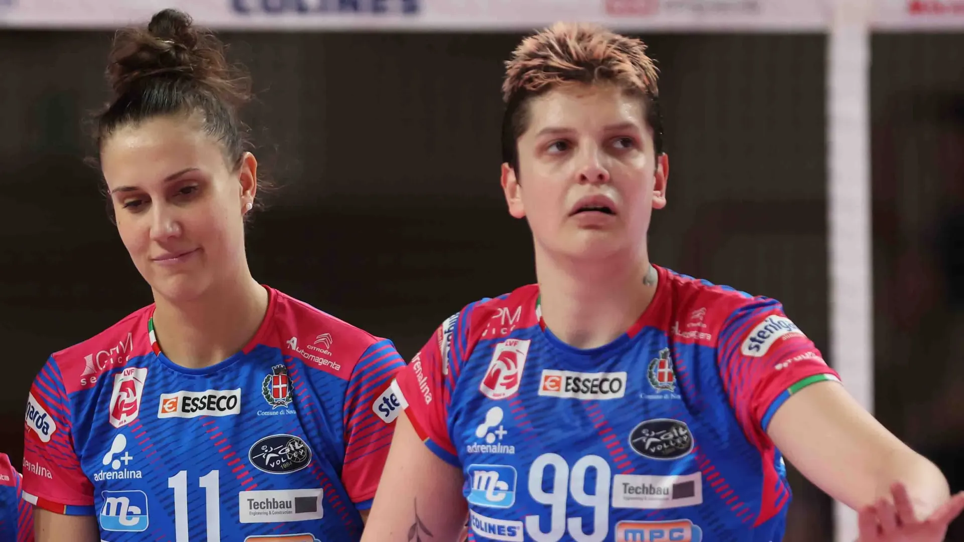 Il mercato del volley è sempre in fermento.