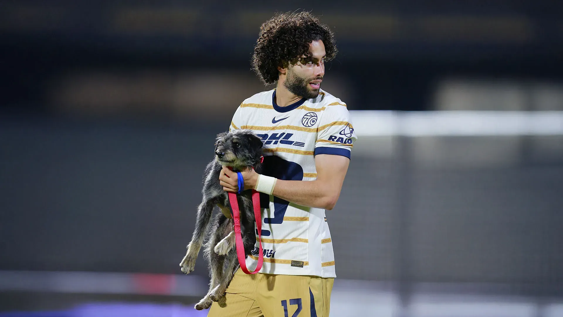 Attraverso iniziative come queste, la speranza è che vengano adottati sempre più cani
