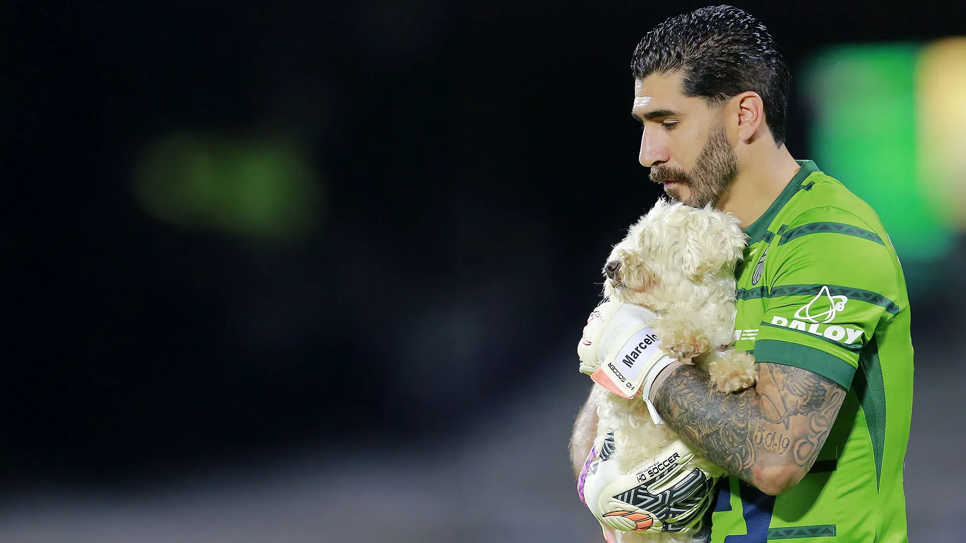 Nella partita contro il Queretaro, i calciatori del Pumas sono entrati in campo con dei cani
