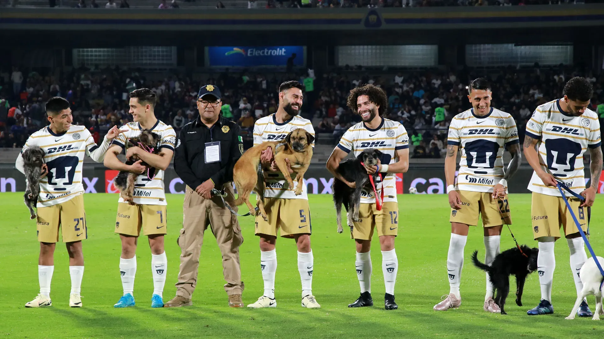 Le immagini dei calciatori con i cani in campo hanno fatto il giro del mondo
