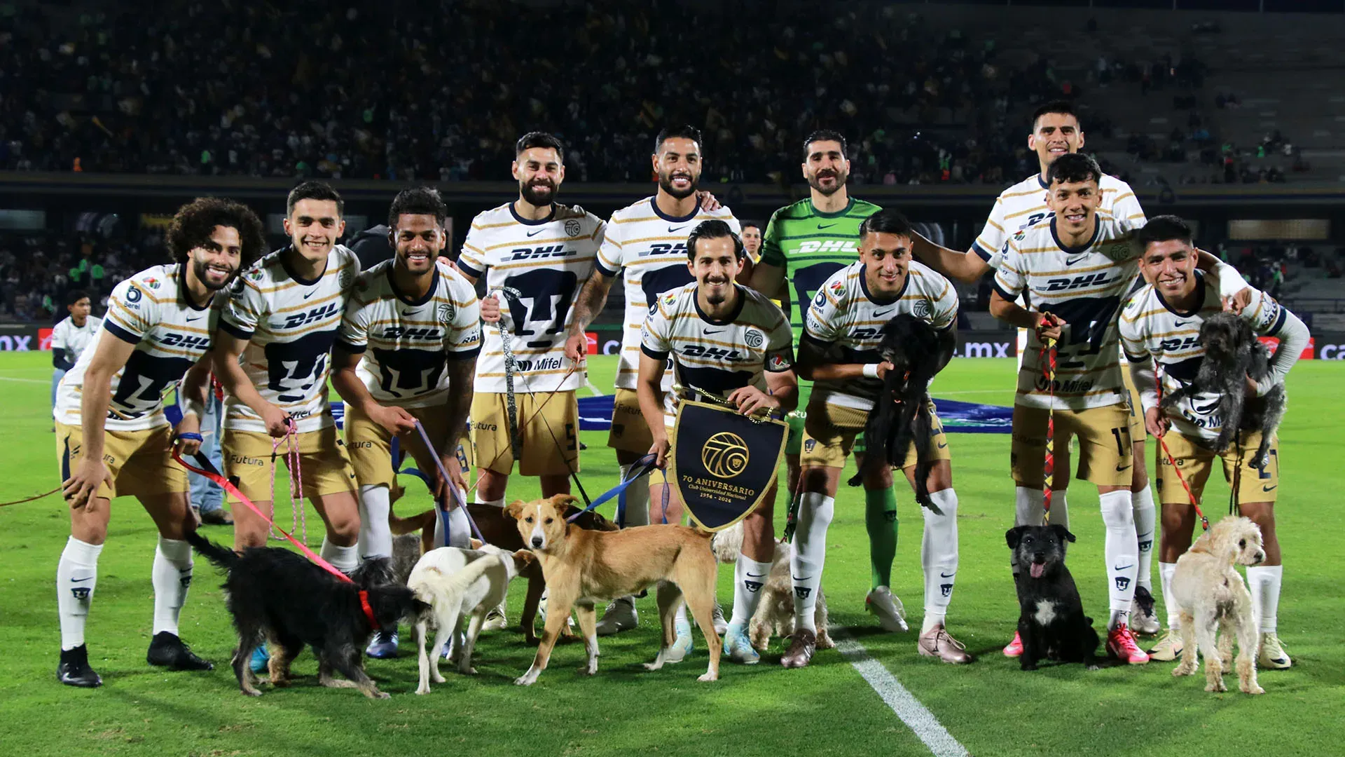 Giocano anche loro? I calciatori entrano in campo con dei cani, le foto
