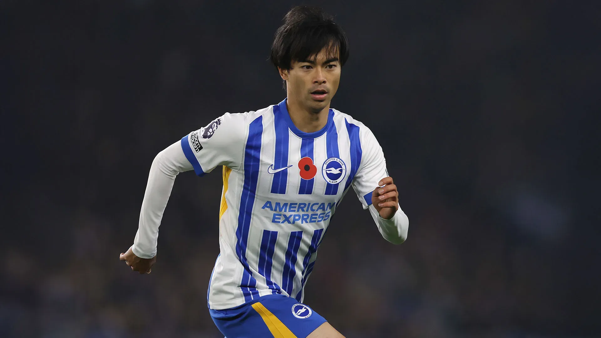 Secondo The Athletic il Brighton avrebbe già rifiutato un'offerta da 60 milioni di euro
