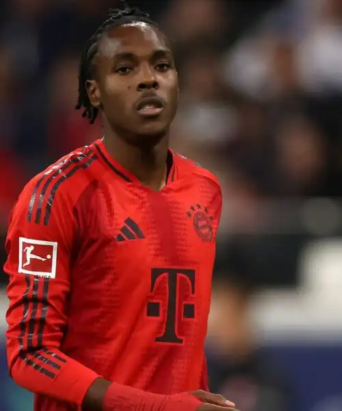 Il Bayern Monaco ha preso una decisione definitiva su Tel e Ibrahimovic. Foto
