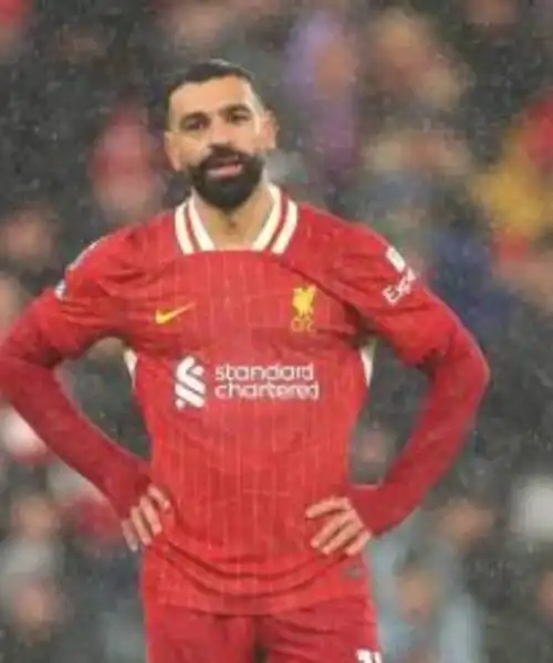 Champions League 2024-2025: Psv Eindhoven-Liverpool, le probabili formazioni