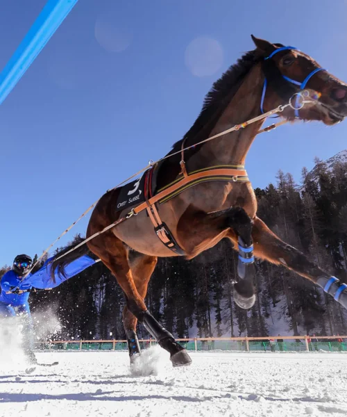 Sci e cavalli: le immagini dello sport invernale più bizzarro