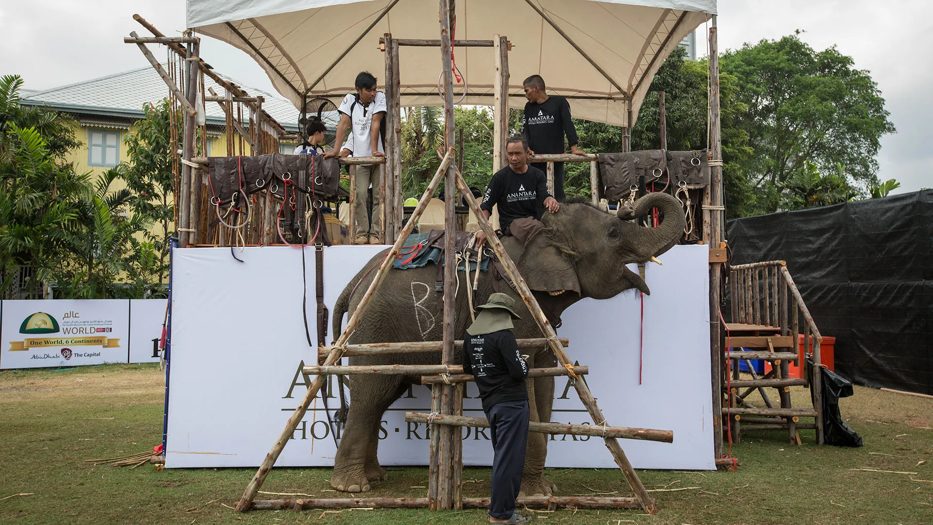 Due persone cavalcano ogni elefante: uno guida l'elefante, l'altro giocatore dice da che parte andare ed ha anche il compito di colpire la palla
