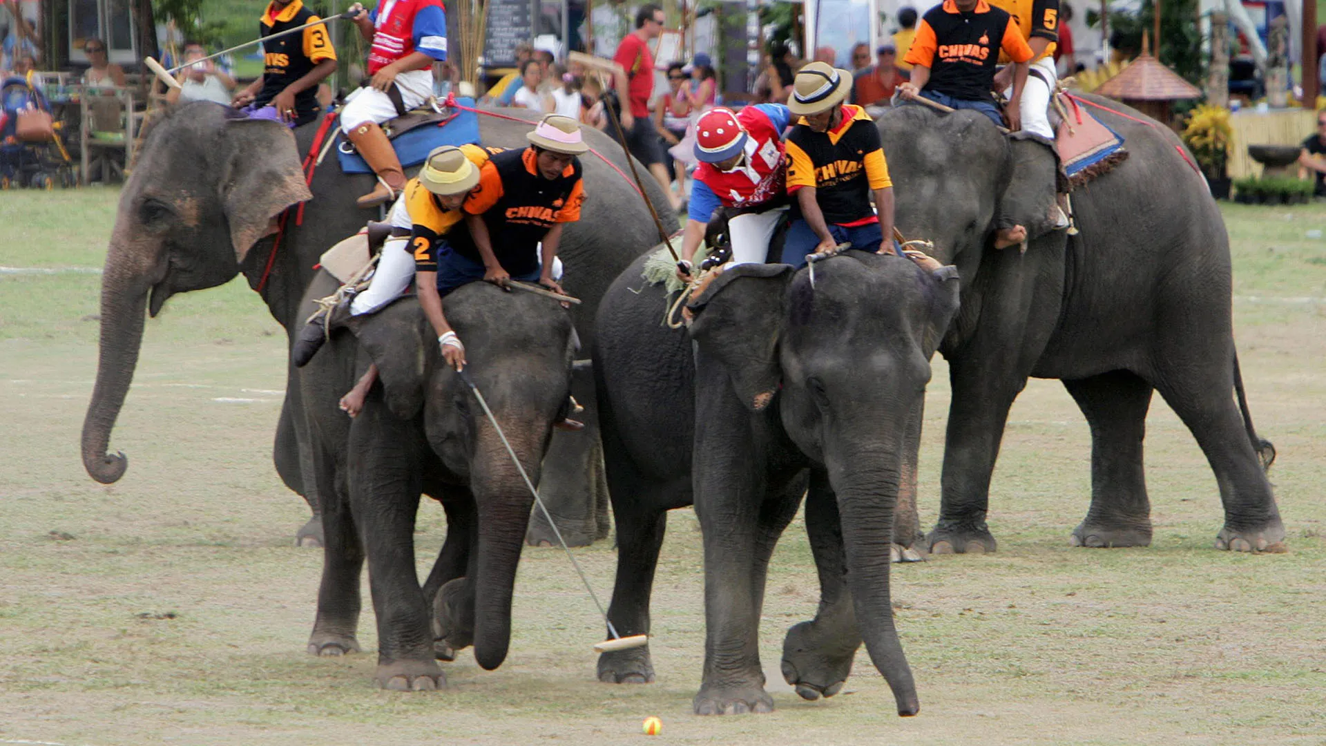 Oggi lo sport è praticato soprattutto in India e Nepal
