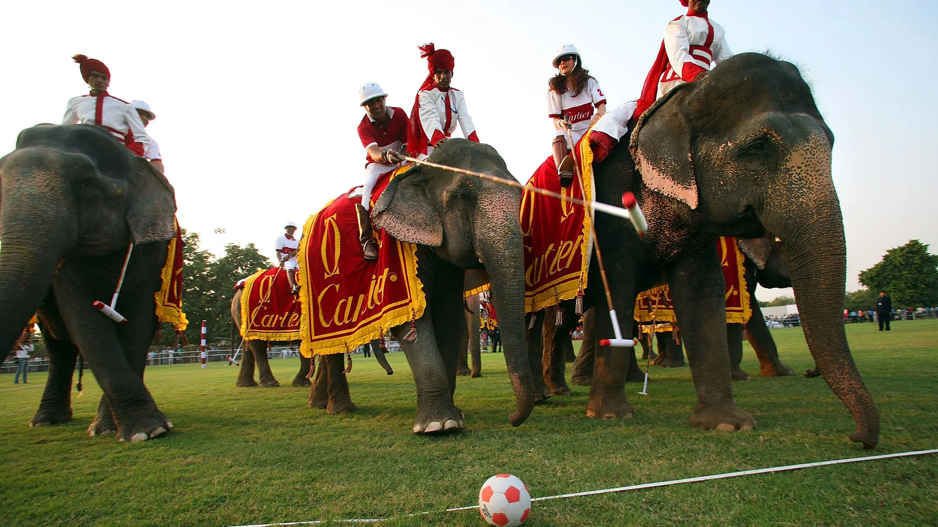 Il Guinness dei primati ha deciso di eliminare dal proprio archivio ogni record riguardante l'elephant polo
