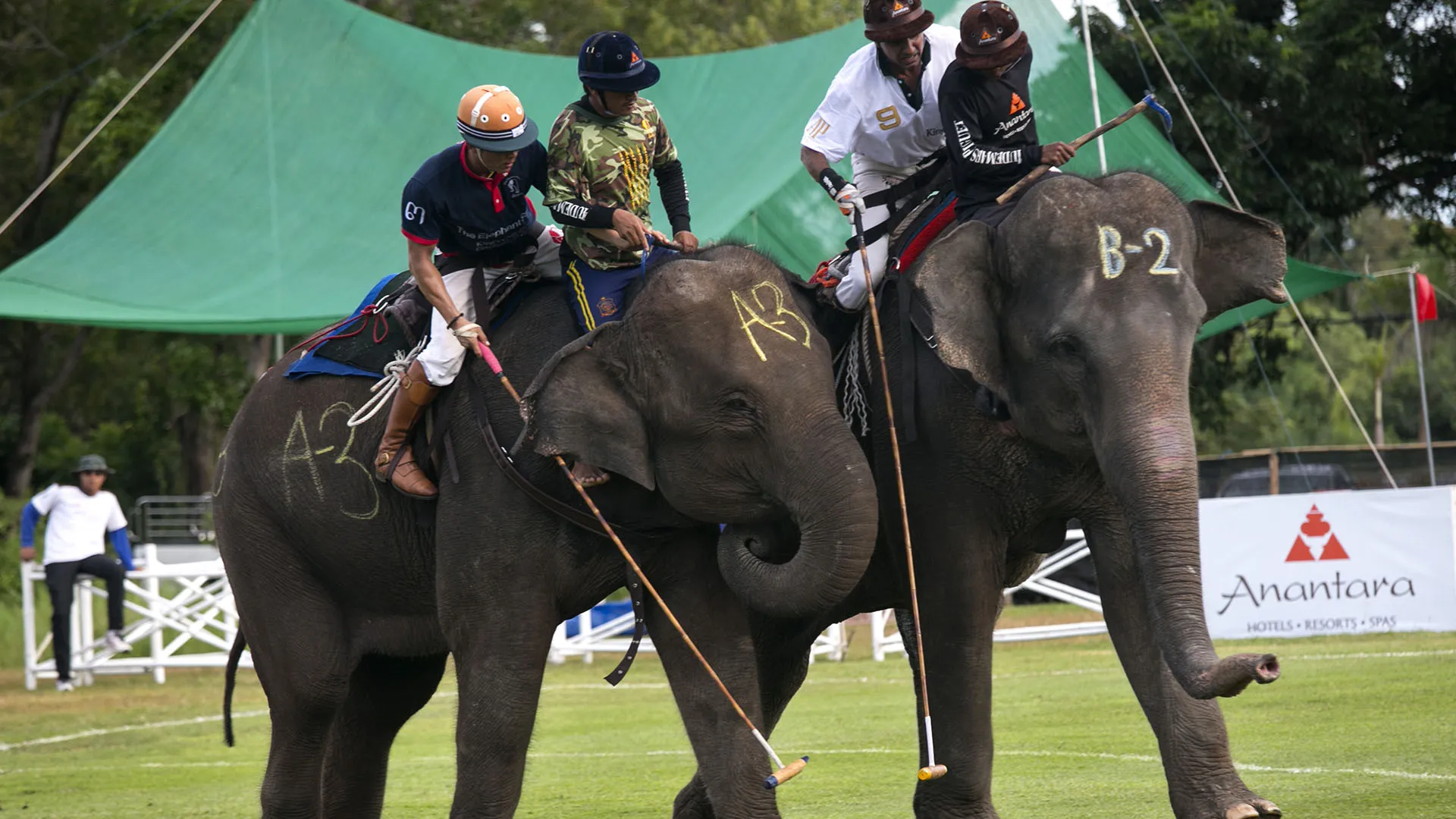 L'Elephant Polo ha radici antichissime
