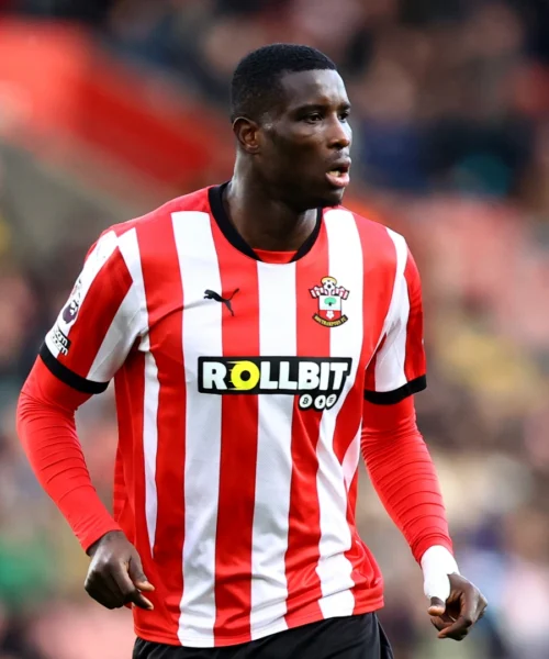 Premier League 2024-2025: Southampton-Crystal Palace, le probabili formazioni