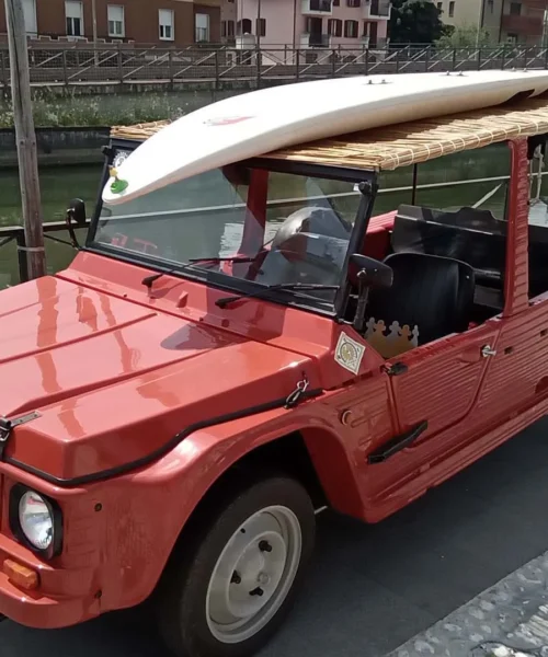 Libera e bella la Citroën Méhari: le foto