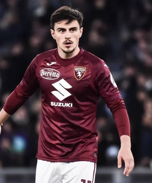 Serie A 2024-2025: Torino-Venezia, le probabili formazioni